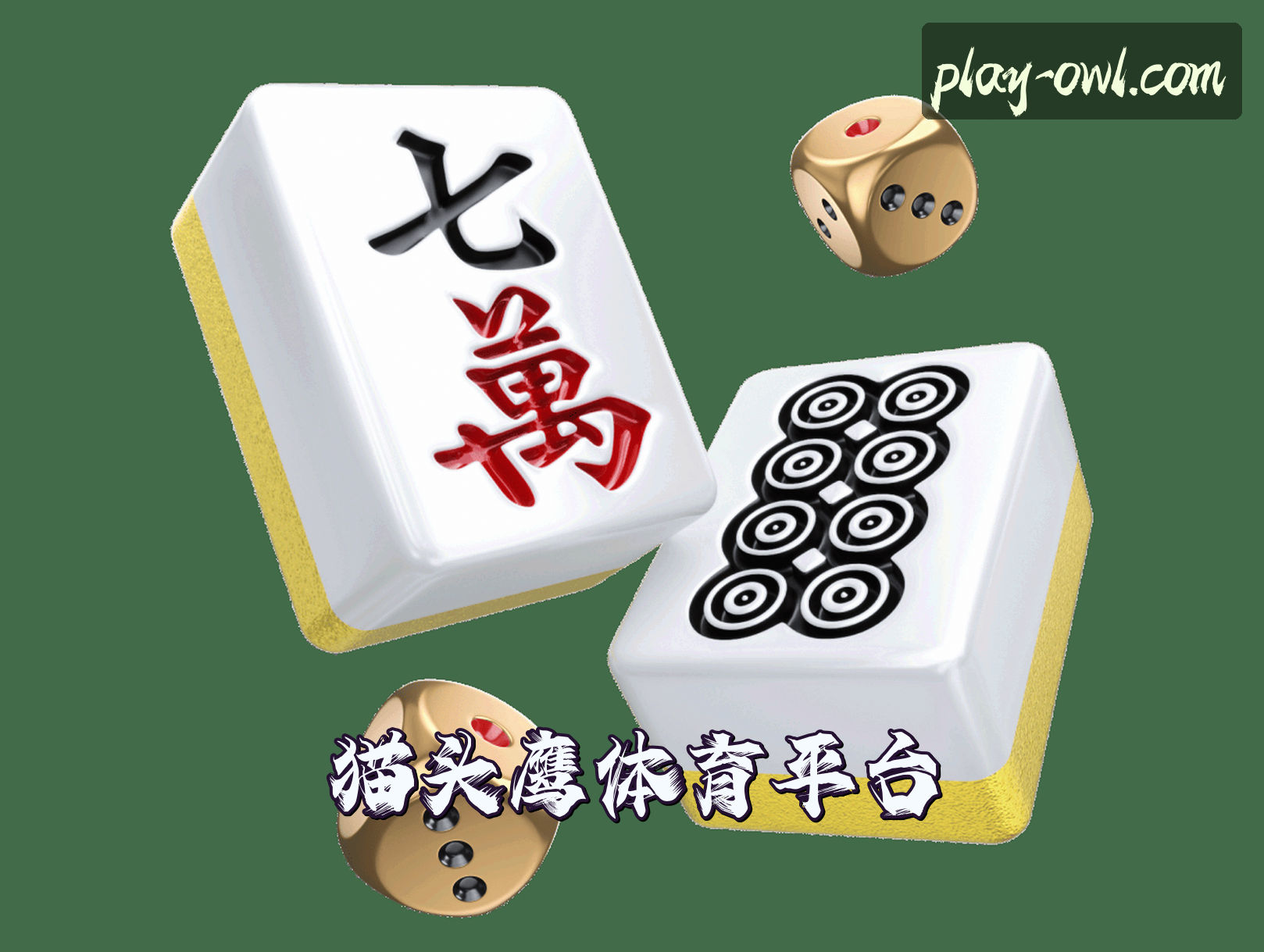 关于我们 - 猫头鹰体育官网 - 官方下载专区